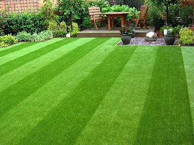 Artificial Grass