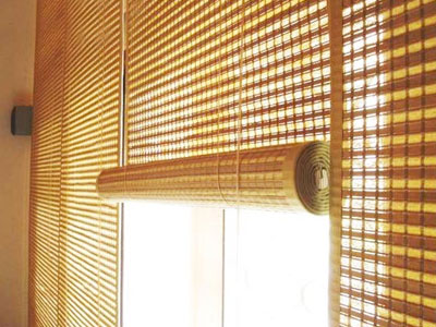 Chick Blinds