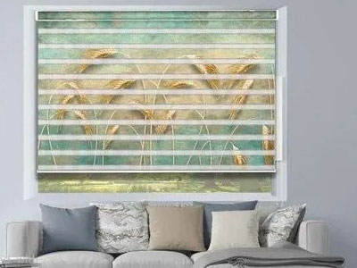 Zebra Blinds