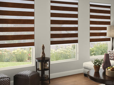 Zebra Blinds